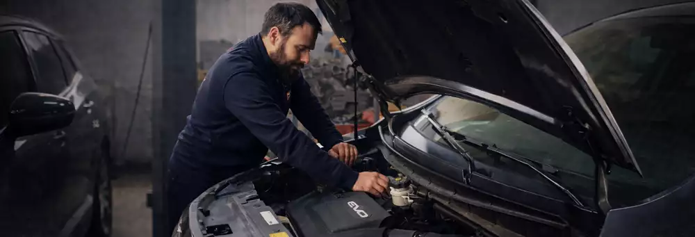 Gamma TermoHybrid - Full optional di serie